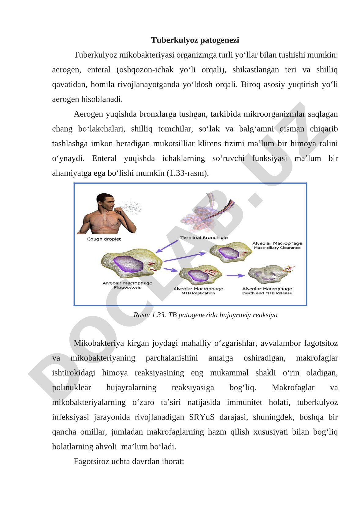 Tuberkulyoz patogenezi