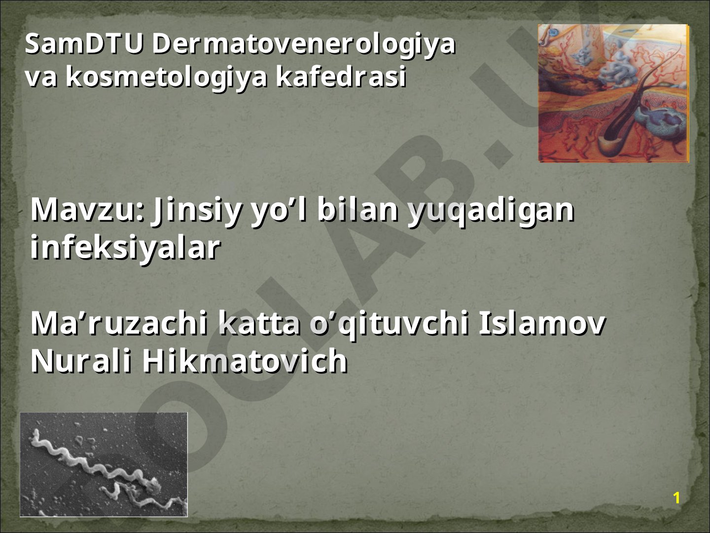 Jinsiy yo’l bilan yuqadigan infeksiyalar