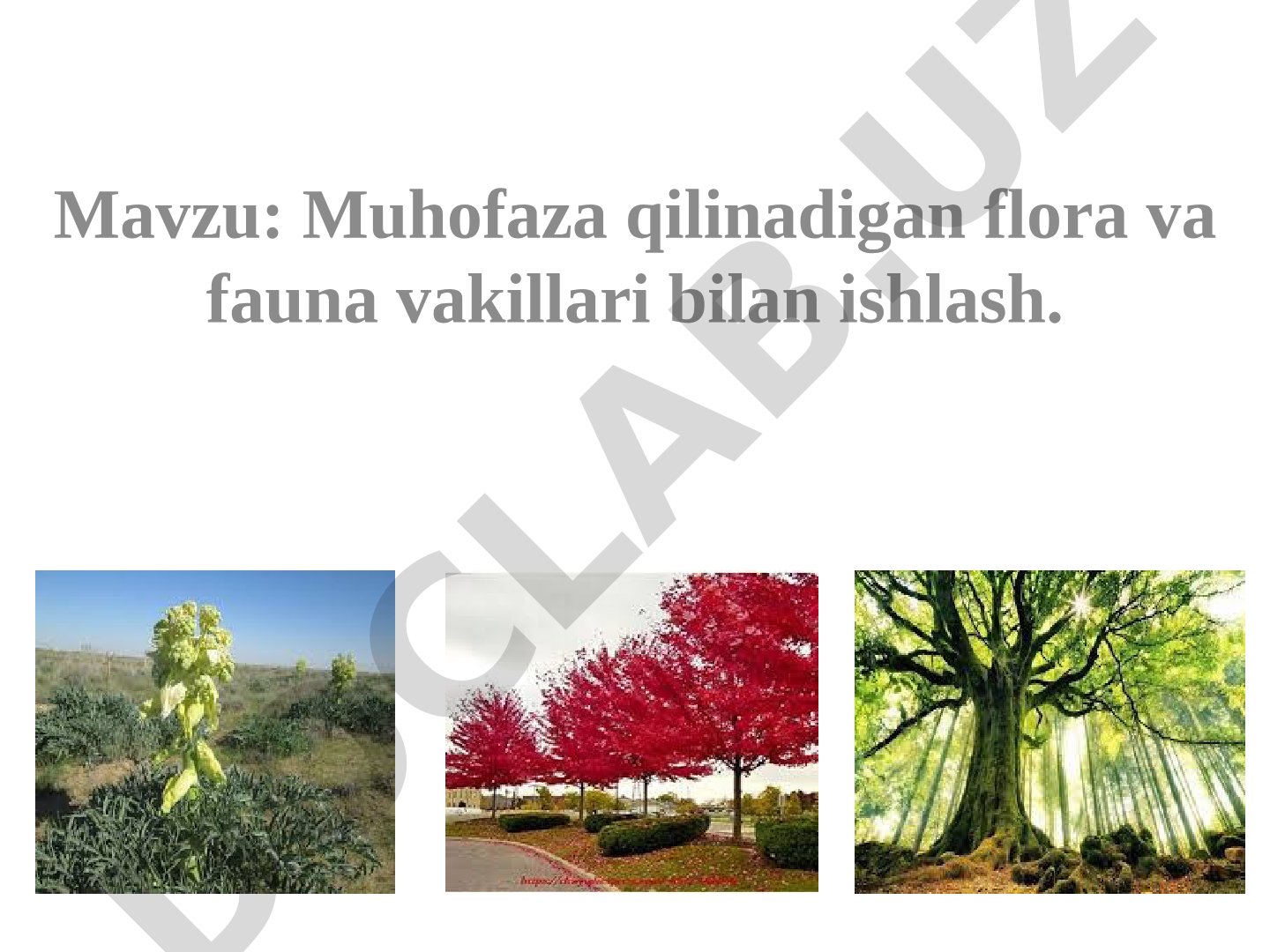 Muhofaza qilinadigan flora va fauna vakillari bilan ishlash