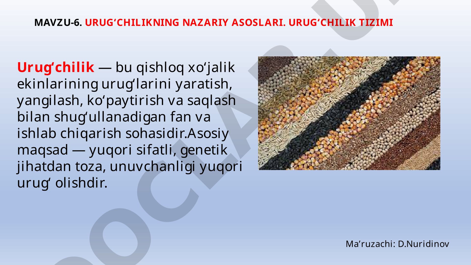 Urug‘chilikning nazariy asoslari. Urug‘chilik tizimi