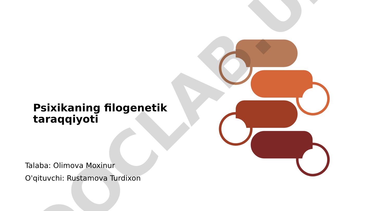 Psixikaning filogenetik taraqqiyoti
