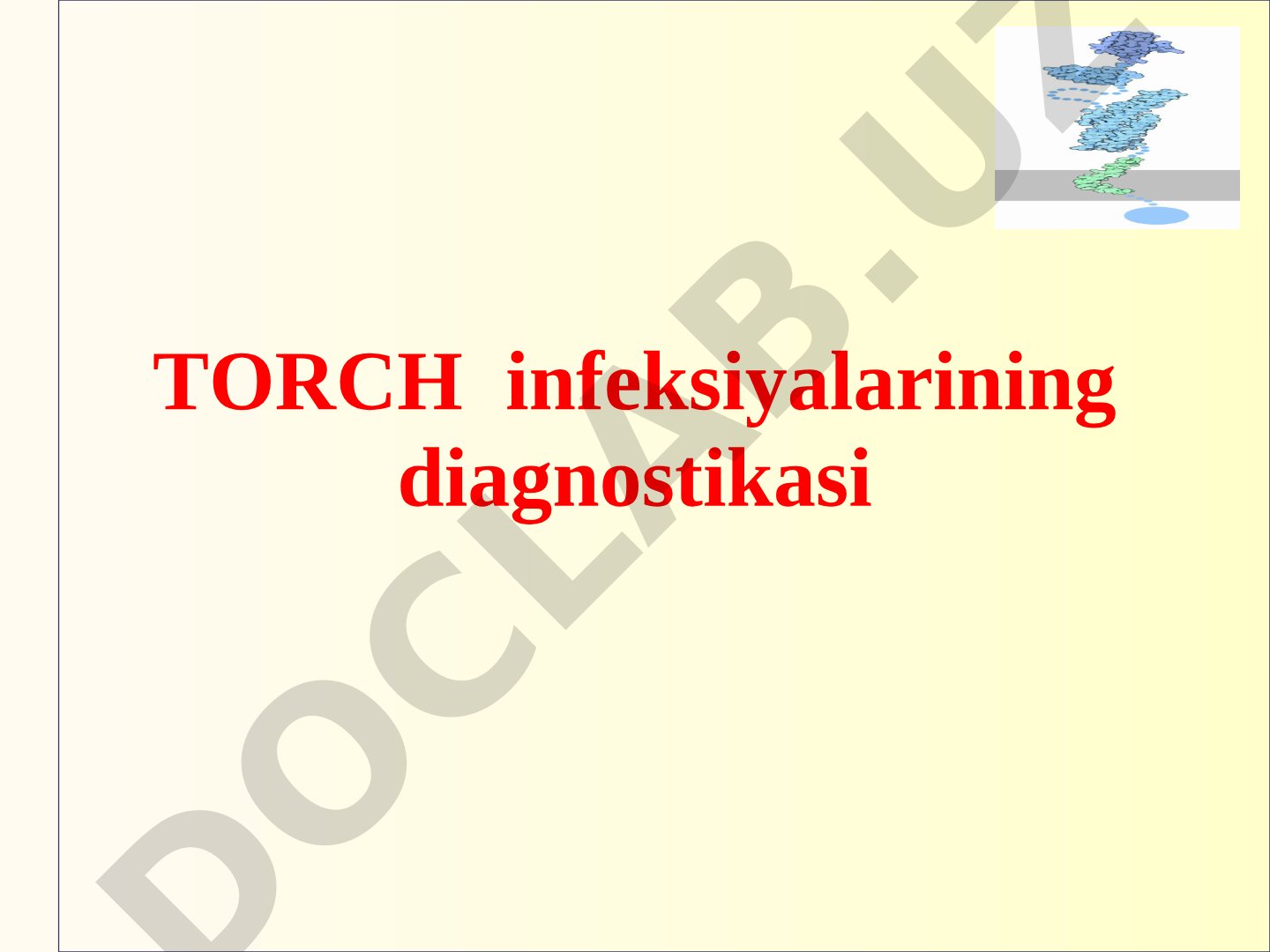 TORCH infeksiyalarining diagnostikasi
