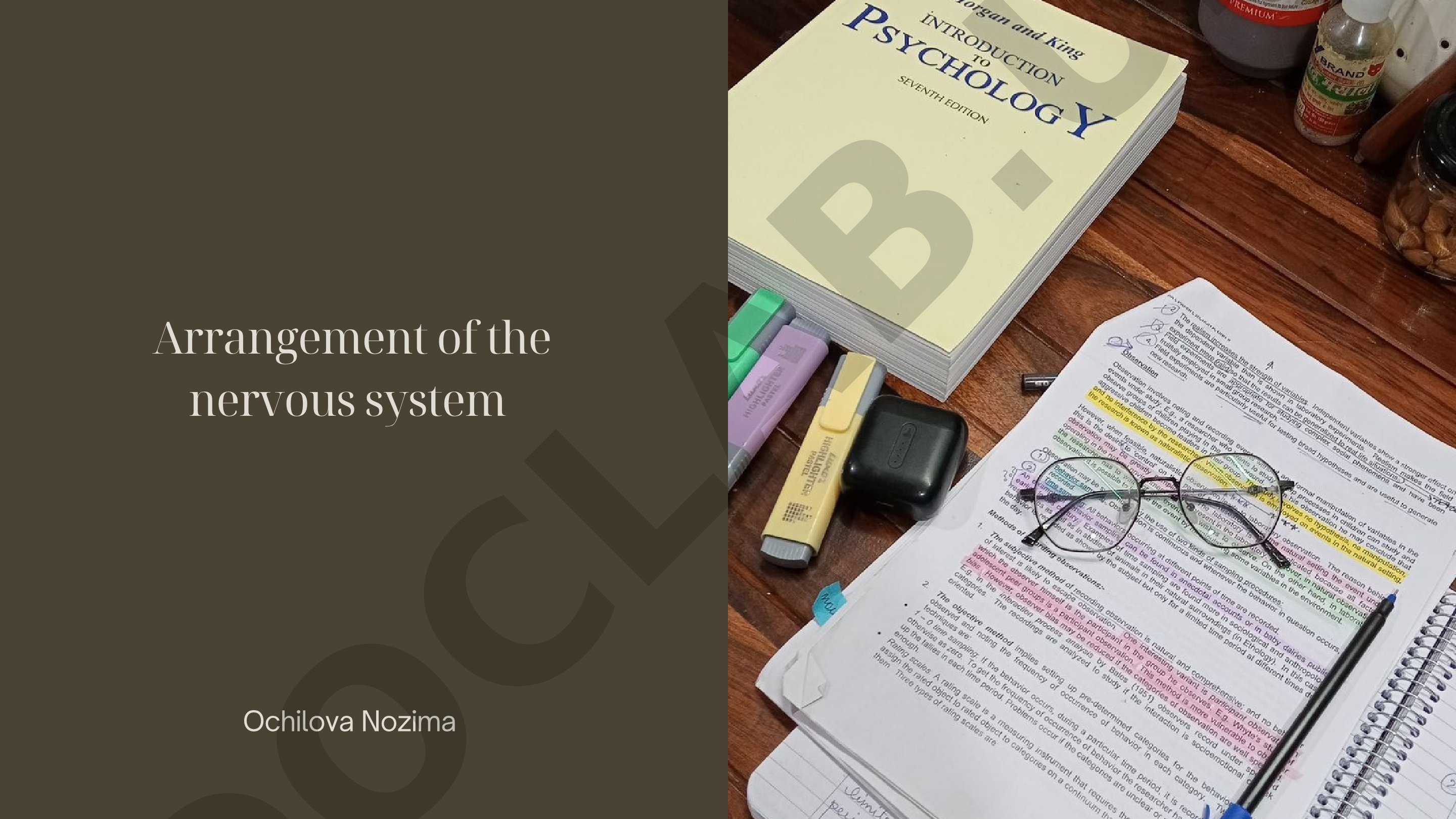 Arrangement of the nervous system