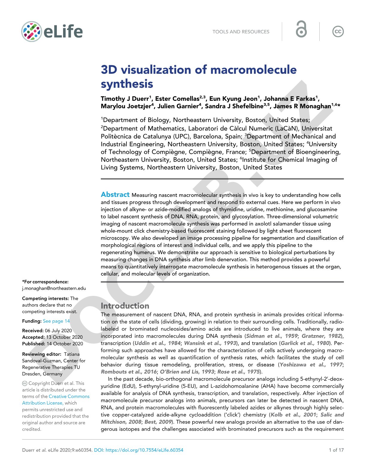 3D visualization of macromolecule synthesis