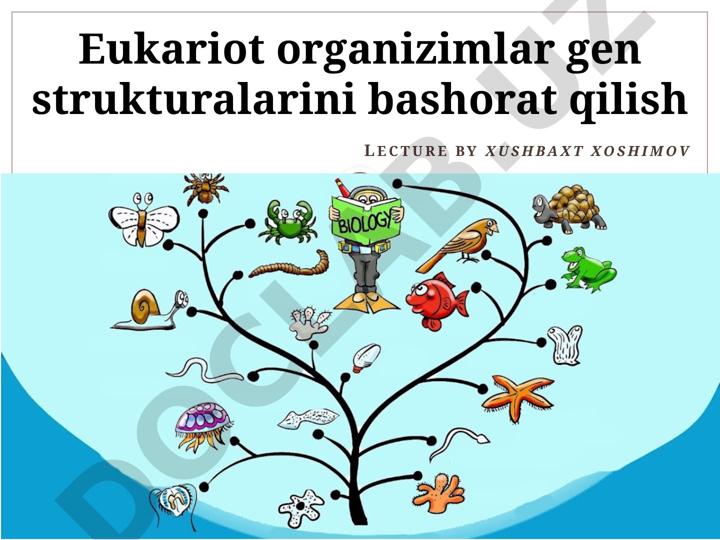 Eukariot organizimlar gen strukturalarini bashorat qilish