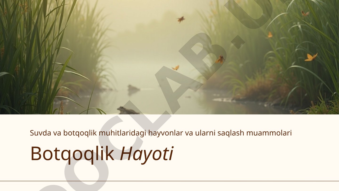 Botqoqlik hayoti: suvda va botqoqlik muhitlaridagi hayvonlar va ularni saqlash muammolari