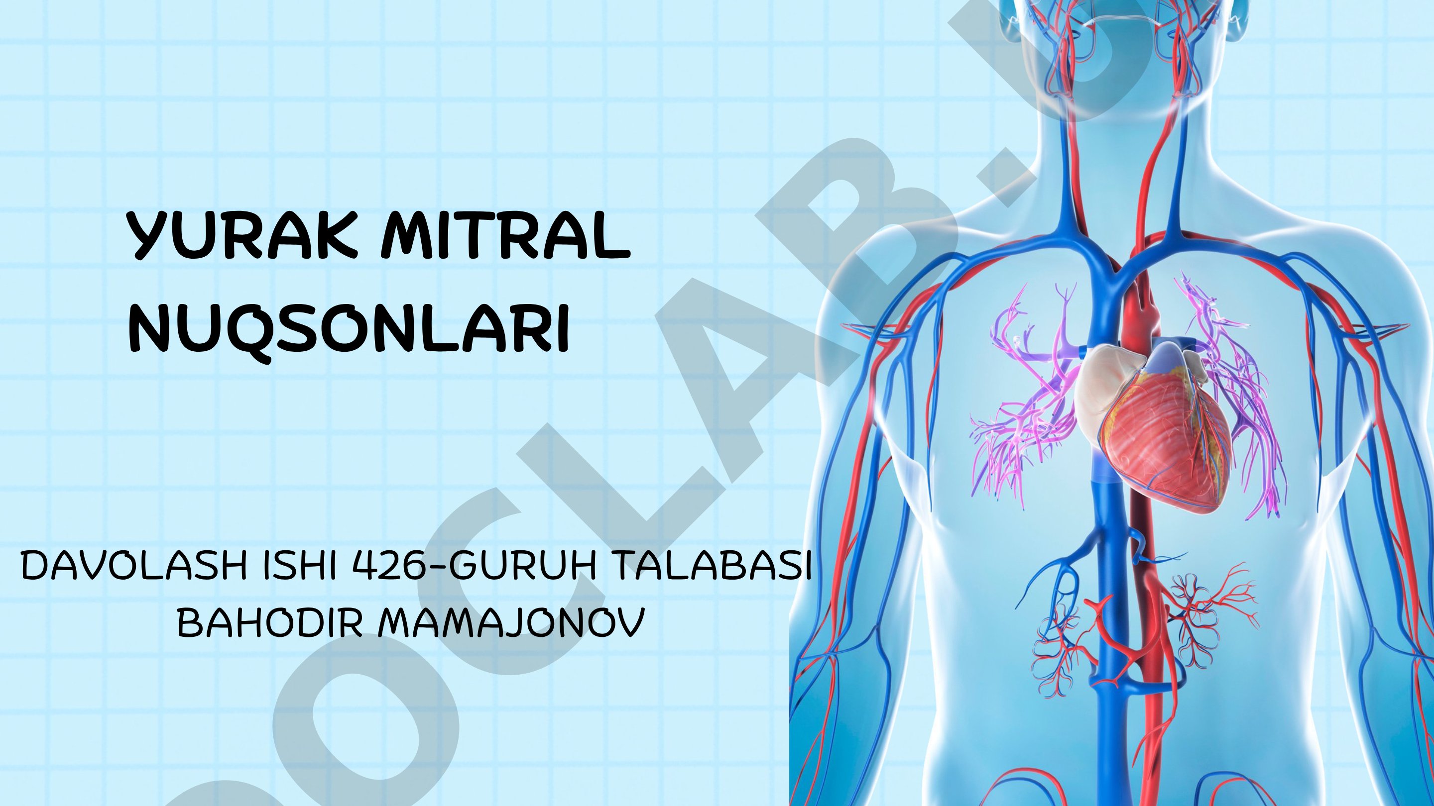Yurak mitral nuqsonlari