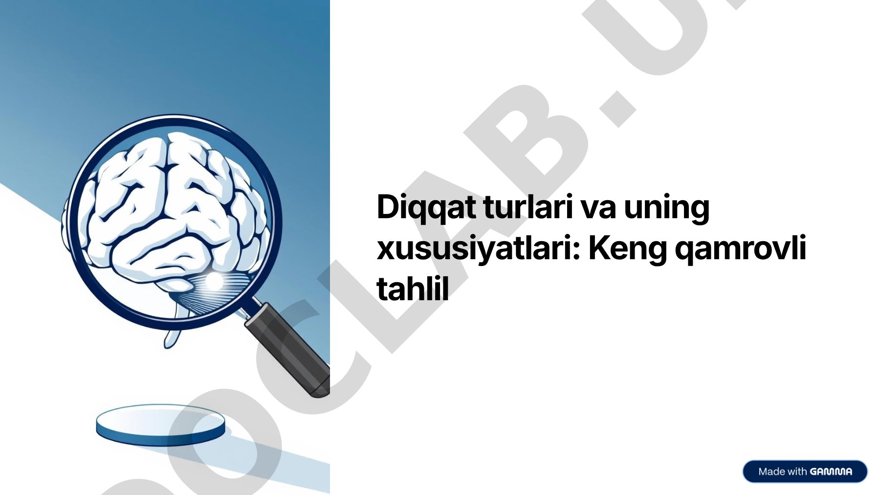 Diqqat turlari va uning xususiyatlari: Keng qamrovli tahlil