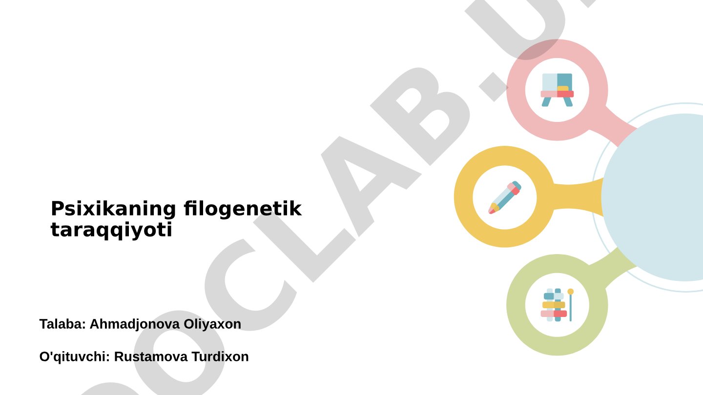 Psixikaning filogenetik taraqqiyoti