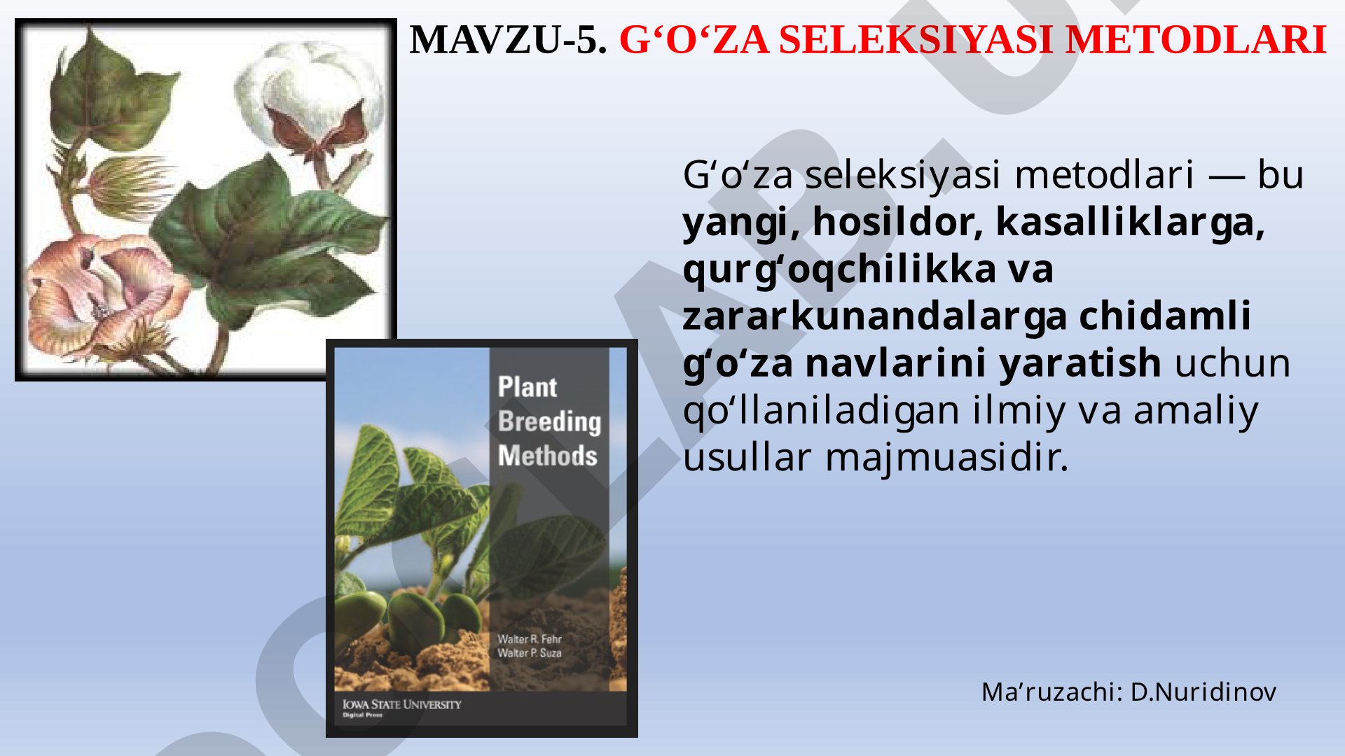 G‘o‘za seleksiyasi metodlari