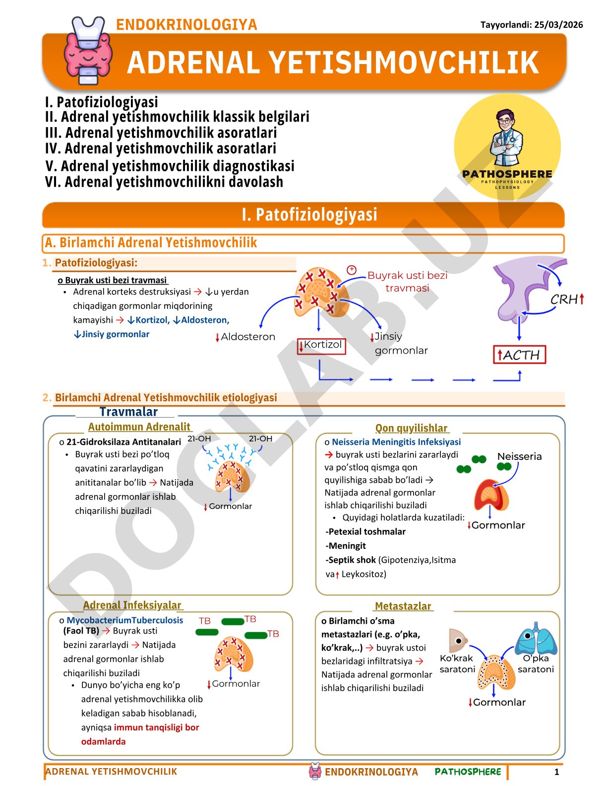 Adrenal yetishmovchilik patofiziologiyasi va etiologiyasi