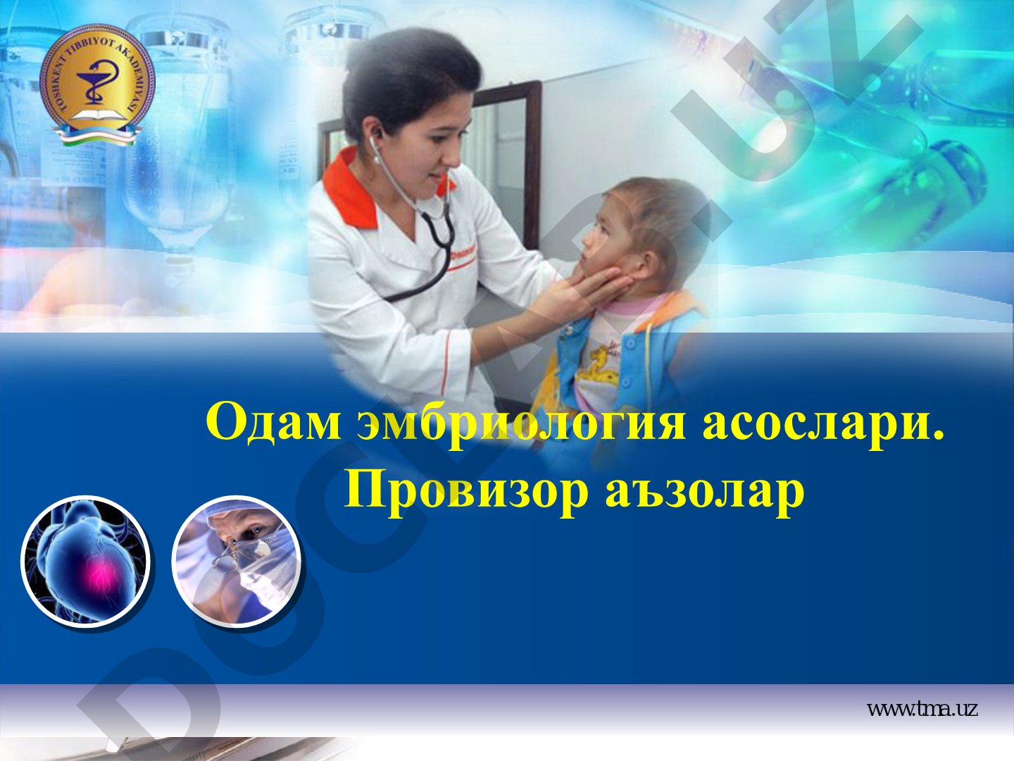 Одам эмбриология асослари. Провизор аъзолар