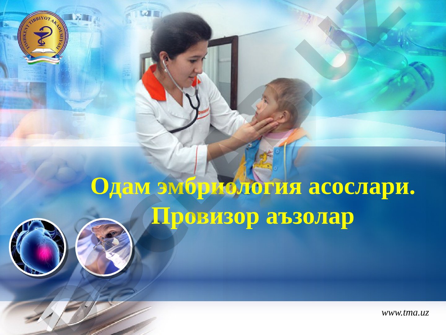 Одам эмбриология асослари. Провизор аъзолар