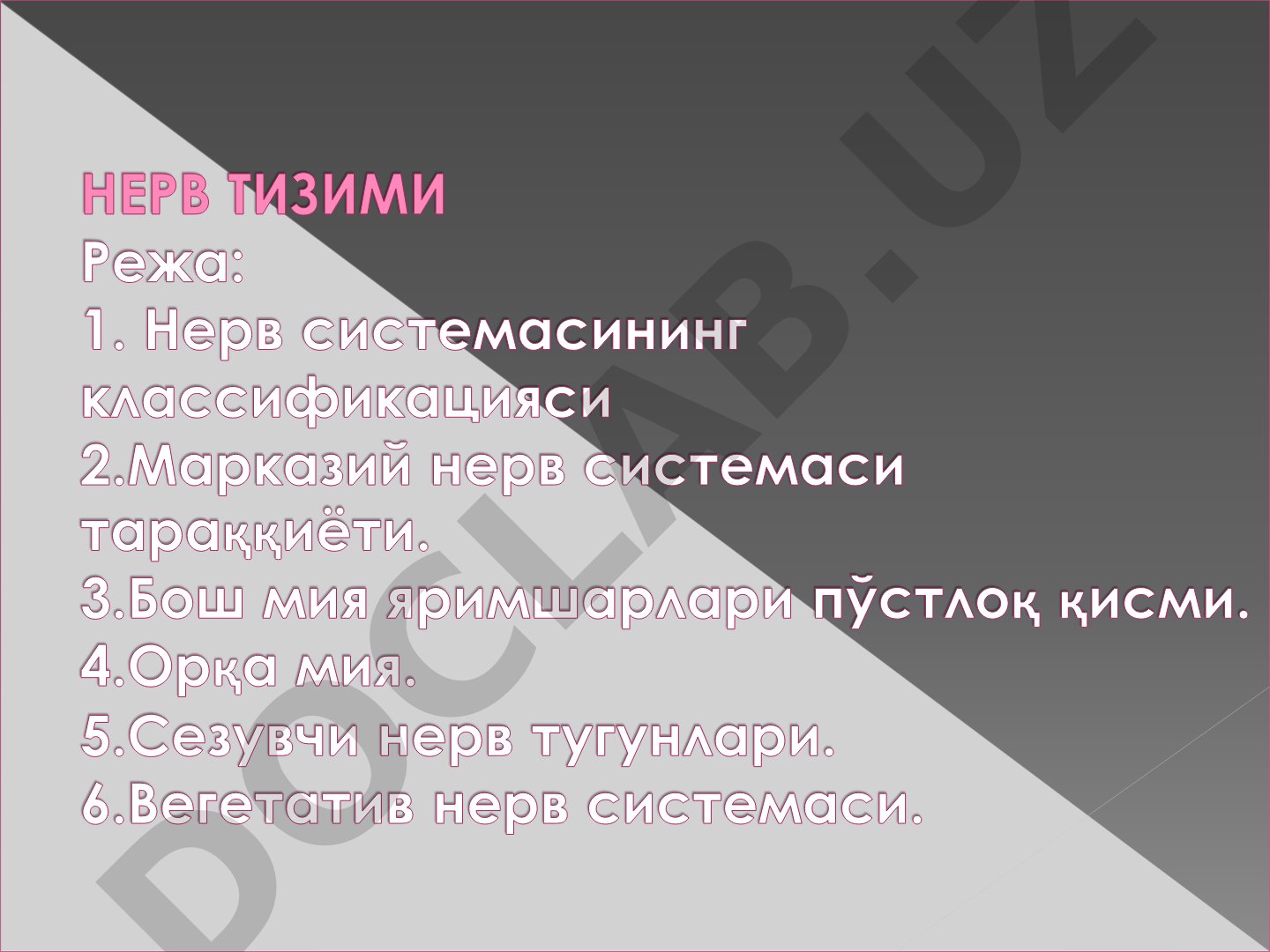 Нерв системаси тузилиши