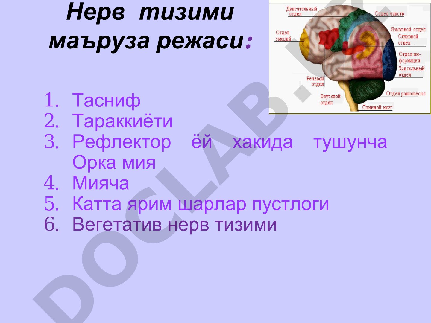 Нерв тизими маъруза режаси
