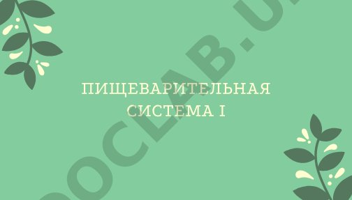Пищеварительная система: вопросы по гистологии