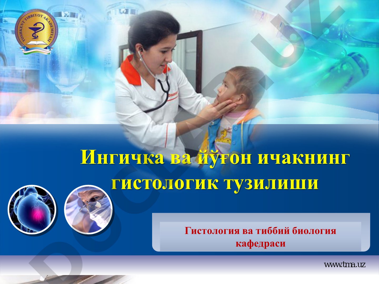 Ингичка ва йўғон ичакнинг гистологик тузилиши