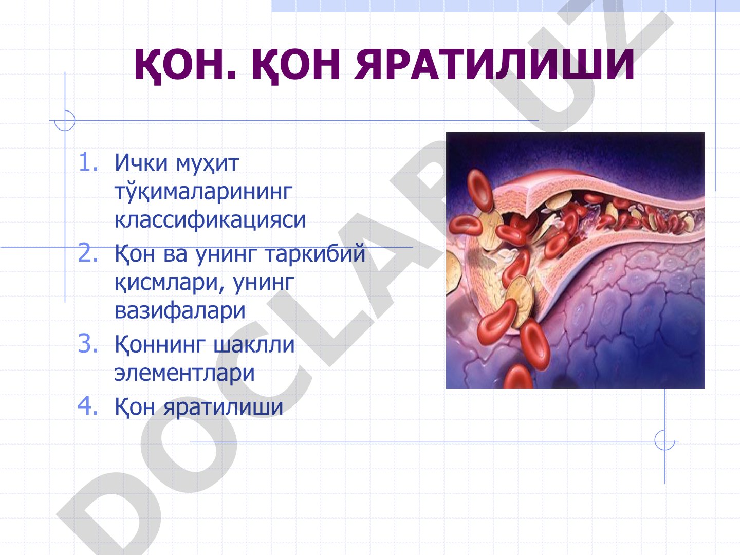 Қон ва унинг таркибий қисмлари, вазифалари, яратилиши