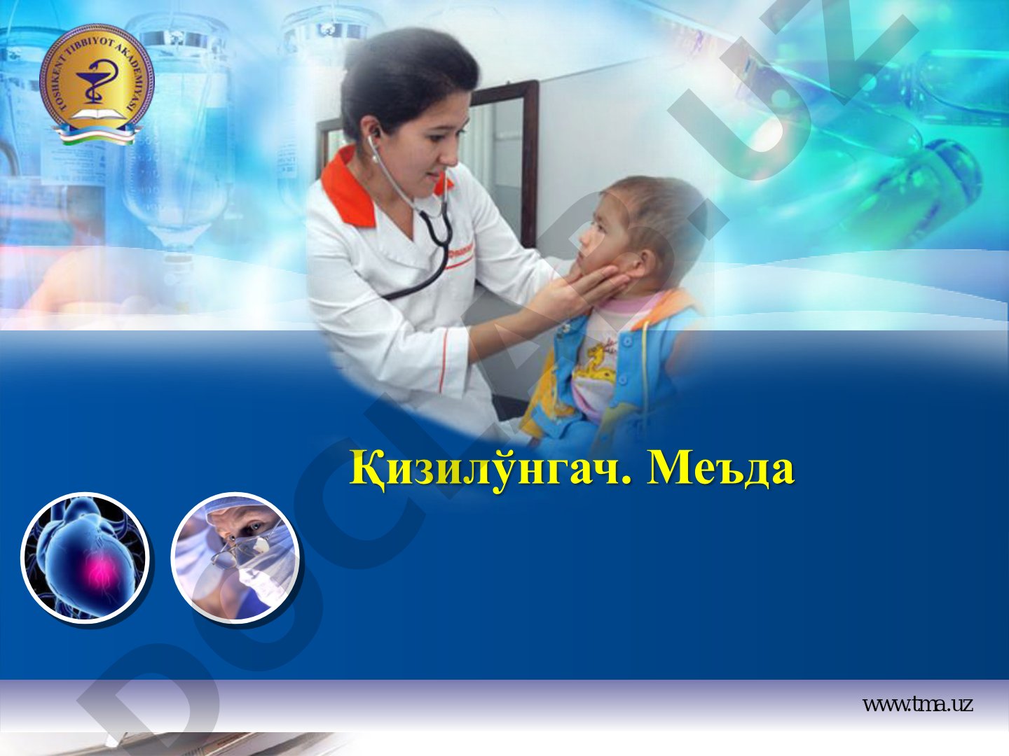 Қизилўнгач тузилиши
