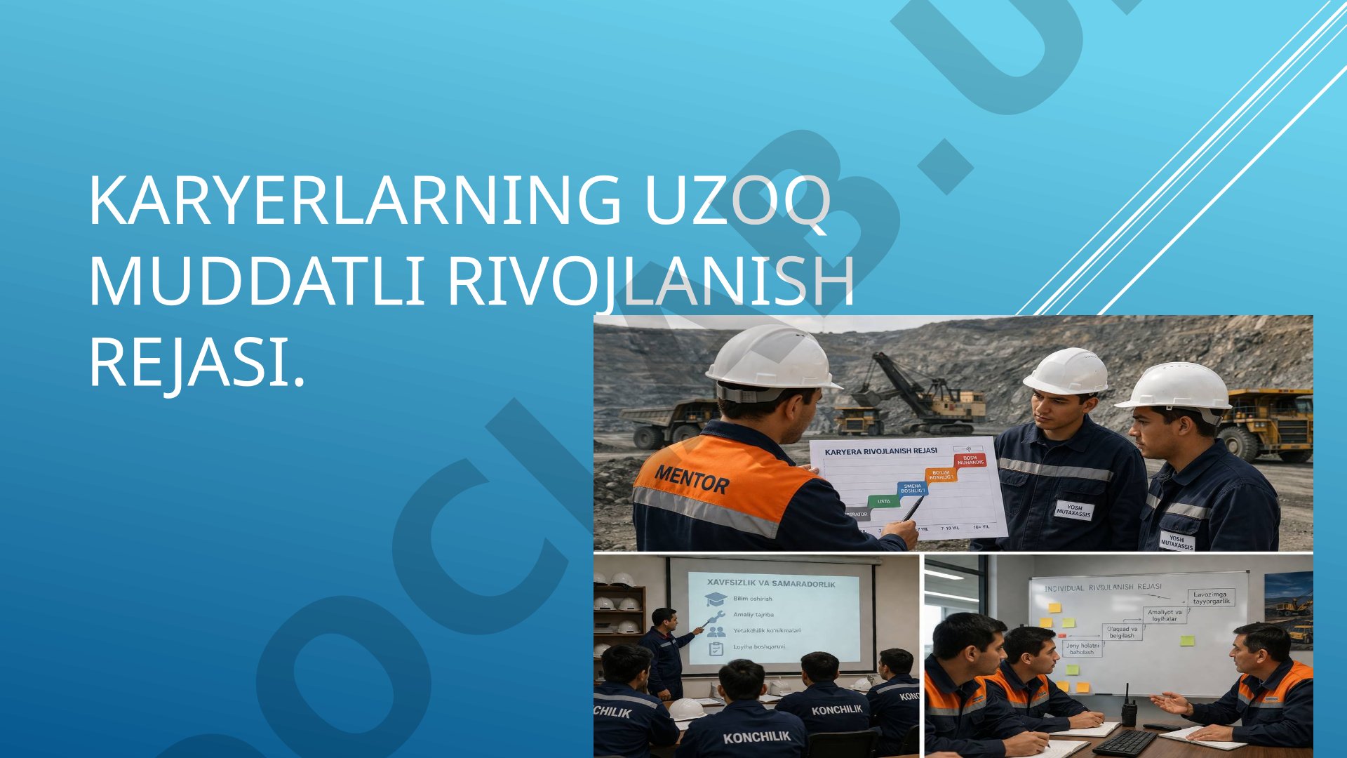 Karyerlarning uzoq muddatli rivojlanish rejasi