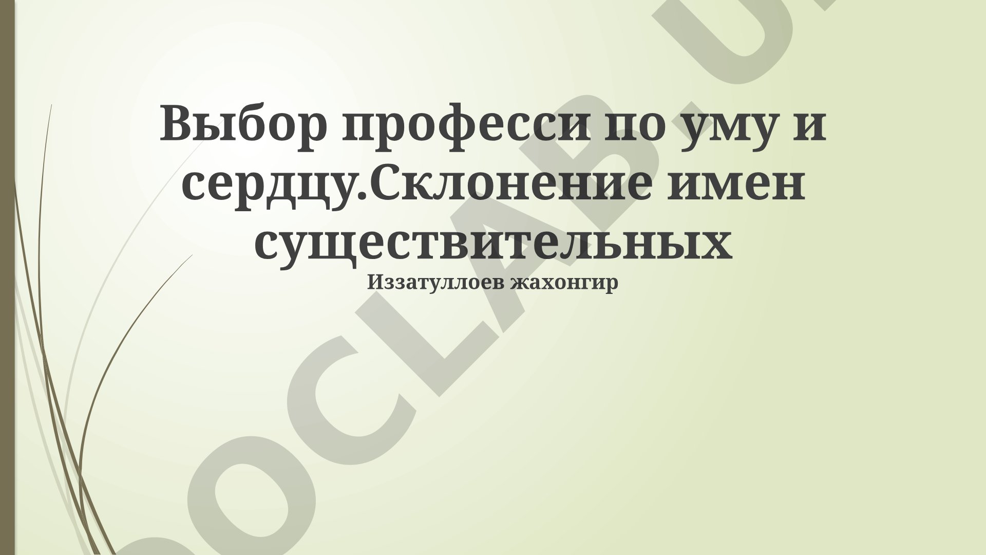 Выбор профессии по уму и сердцу. Склонение имен существительных