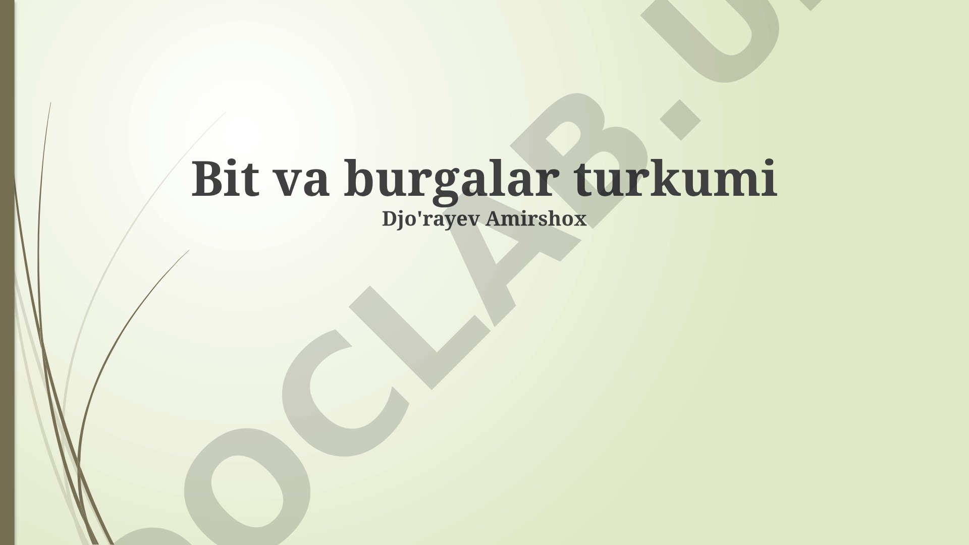 Bitlar va burgalar turkumi