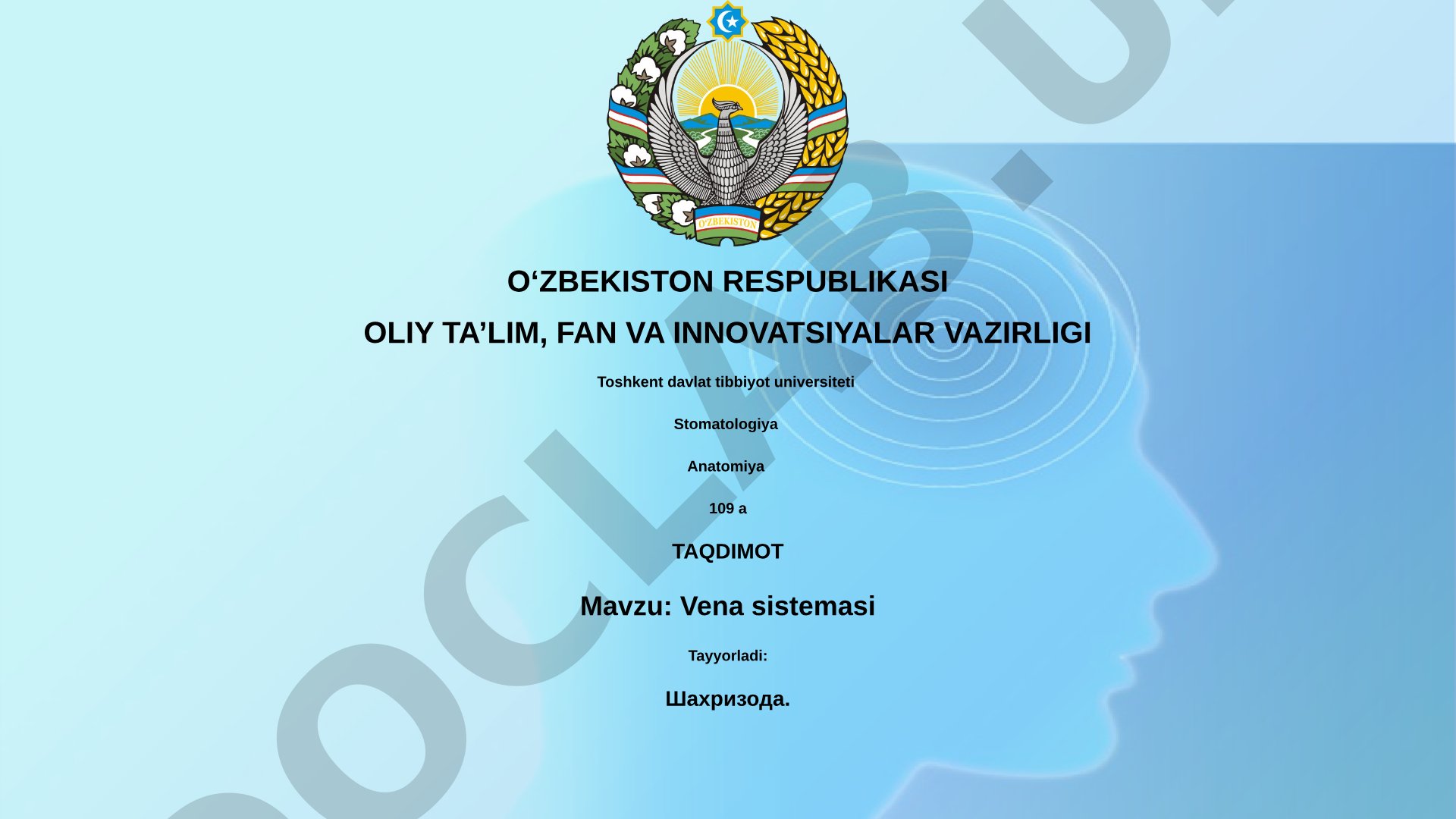 Vena sistemasi