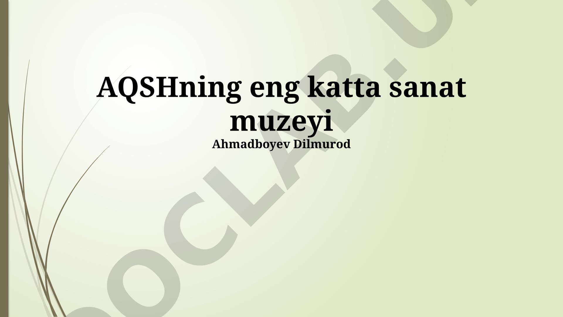 AQSHning eng katta sanat muzeyi Metropolitan san'at muzeyi