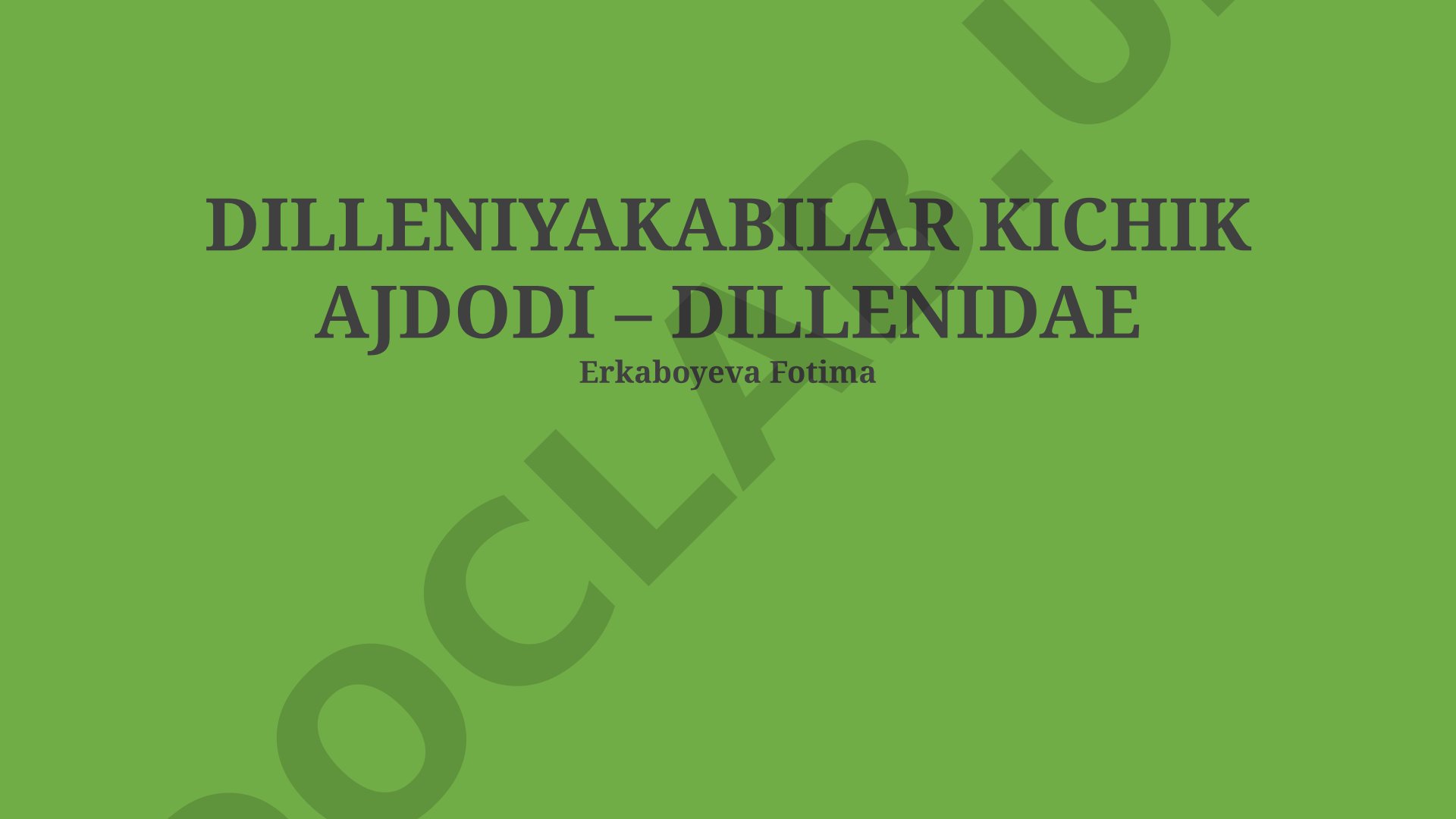 Dilleniyakabilar kichik ajdodi