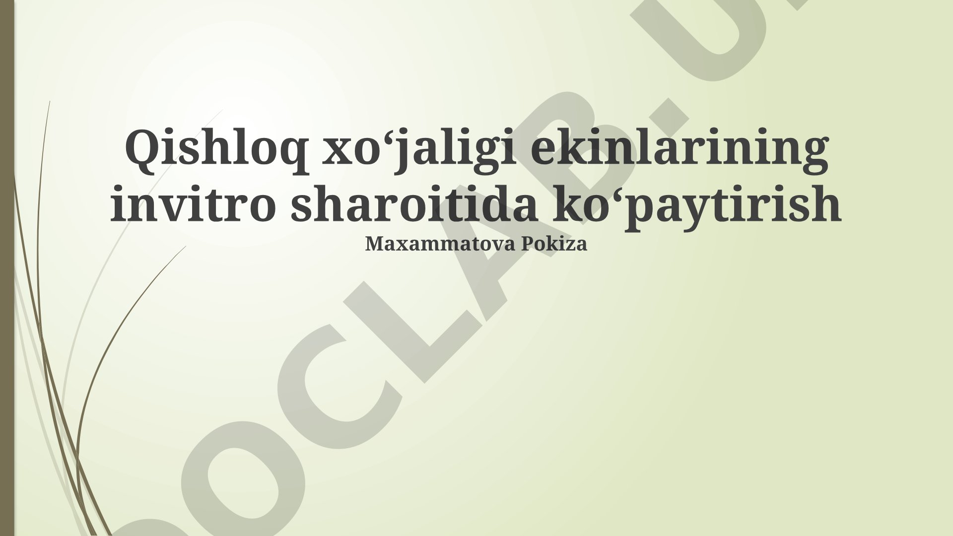 Qishloq xoʻjaligi ekinlarining invitro sharoitida koʻpaytirish
