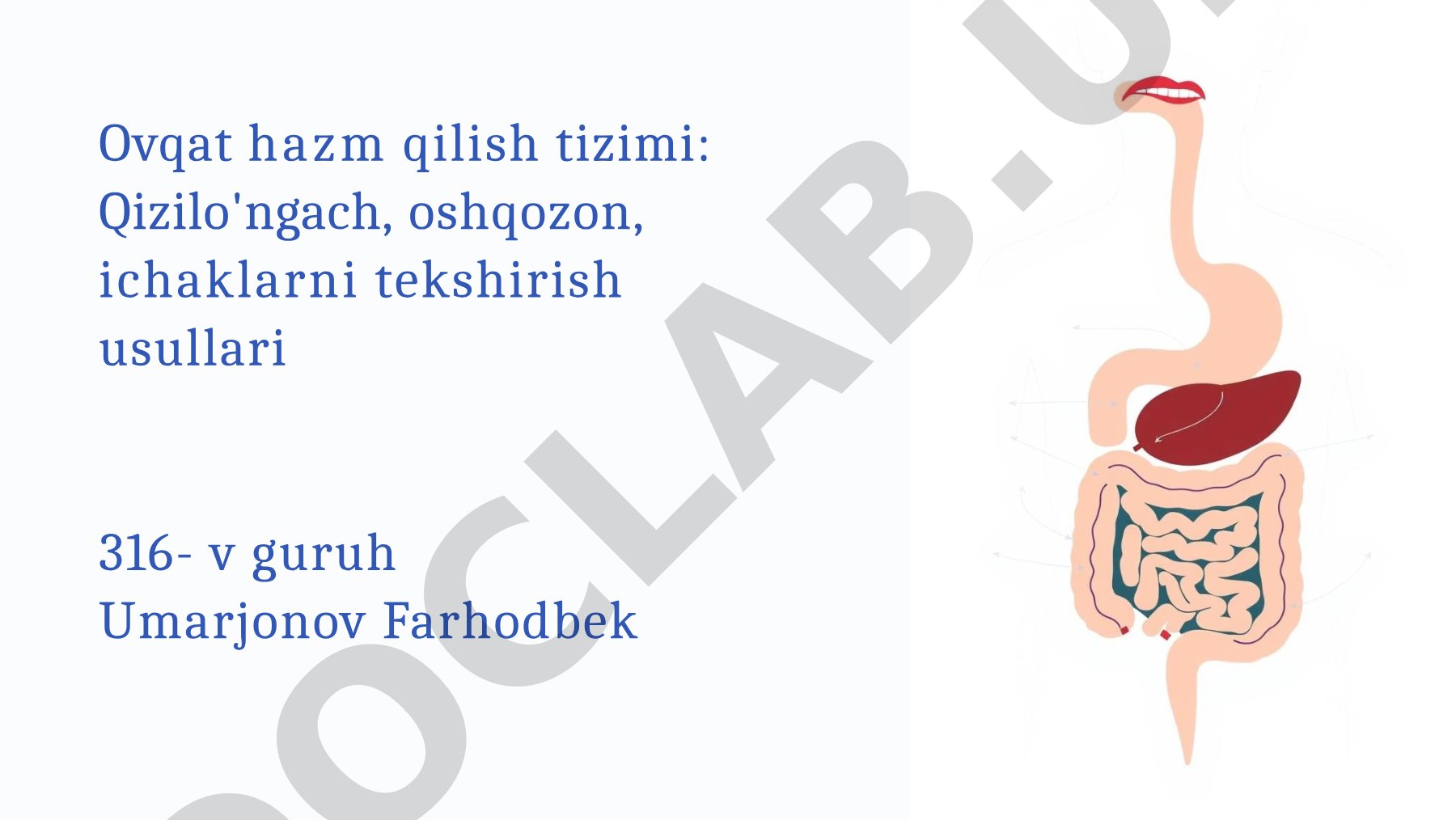 Ovqat hazm qilish tizimi: qizilo'ngach, oshqozon, ichaklarni tekshirish usullari
