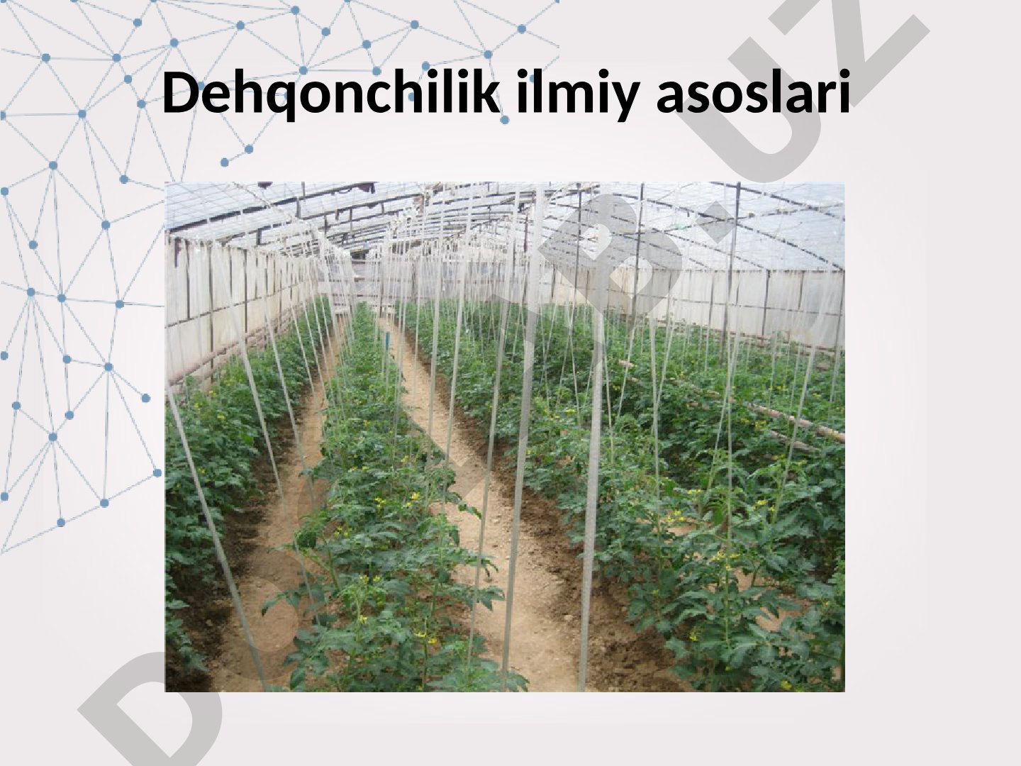 Dehqonchilikning ilmiy asoslari, hayot faktorlari va ularning tasnifi haqida
