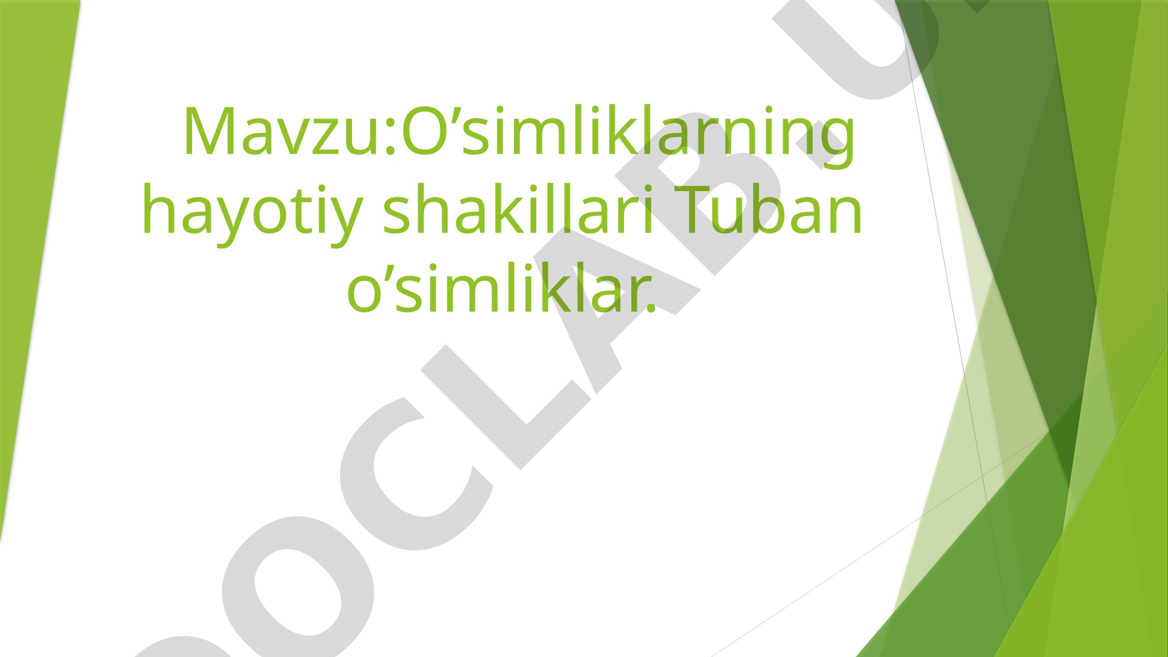O'simliklarning hayotiy shakillari Tuban o'simliklar
