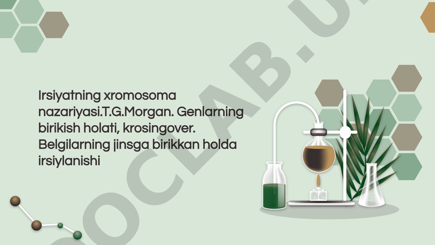 Irsiyatning xromosoma nazariyasi
