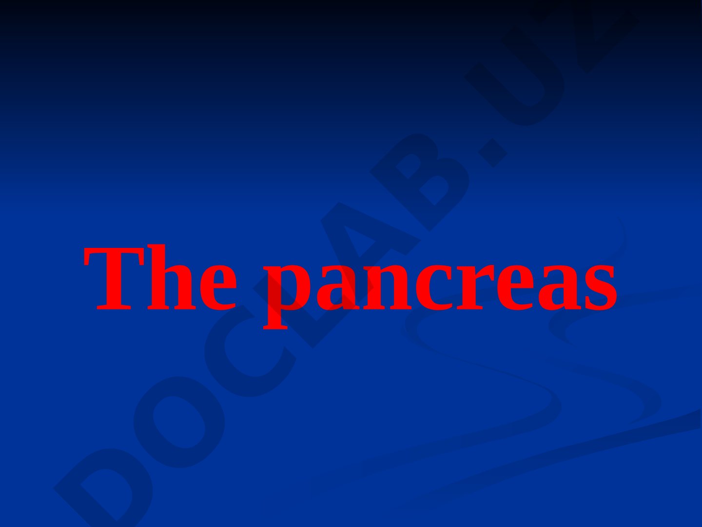 The pancreas and its functions