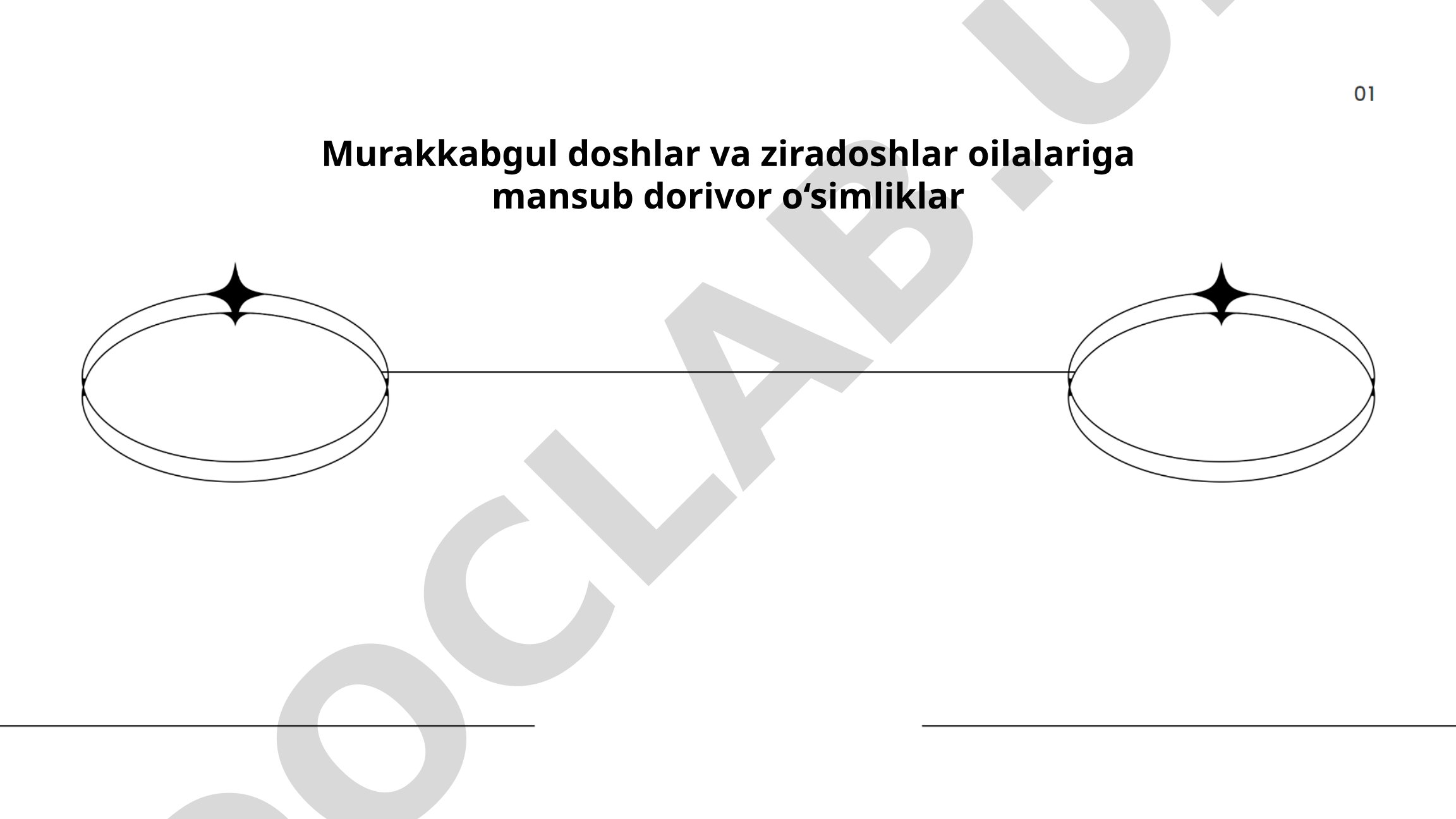 Murakkabgul doshlar va ziradoshlar oilalariga mansub dorivor o‘simliklar