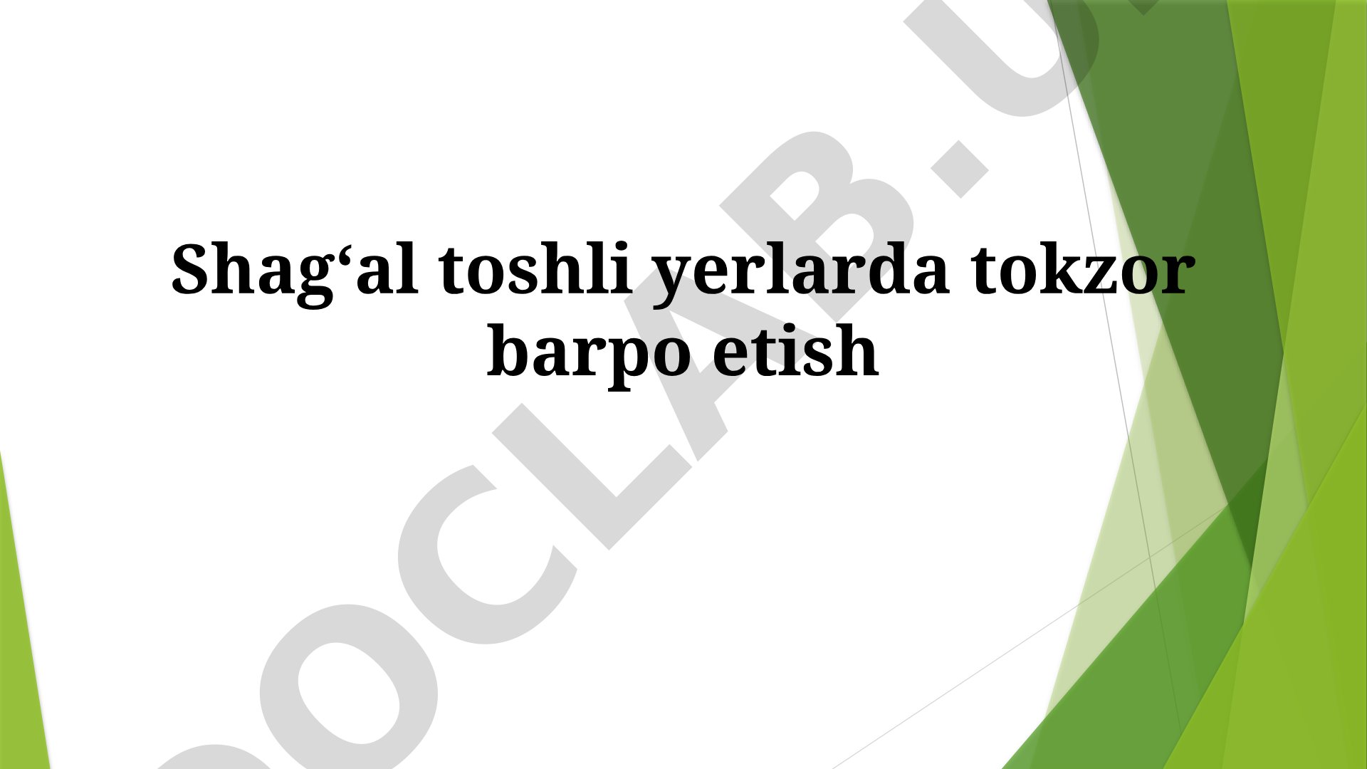 Shagʻal toshli yerlarda tokzor barpo etish