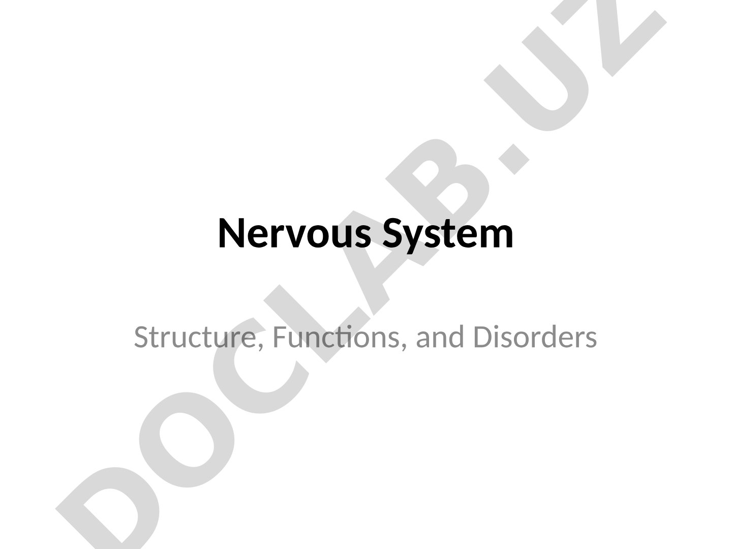 Nervous System Structure, Functions, and Disorders Overview