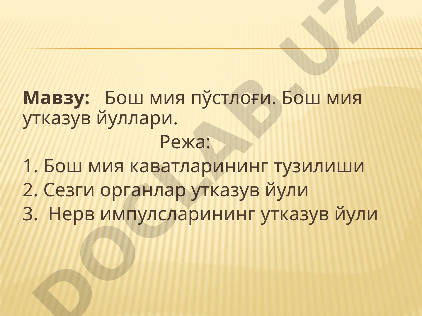 Бош мия пўстлоғи. Бош мия утказув йуллари