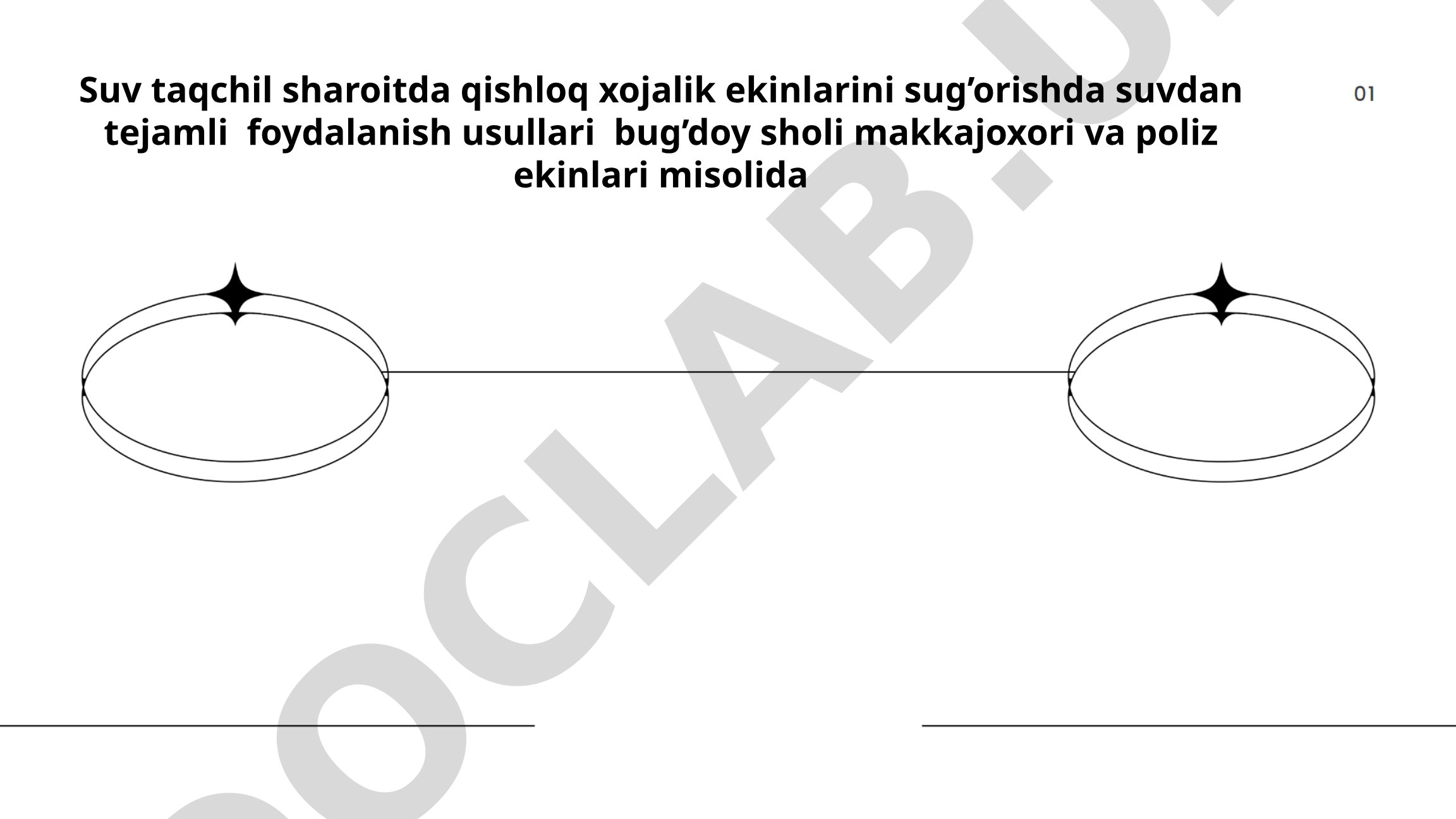 Suv taqchil sharoitda qishloq xo'jalik ekinlarini sug'orishda suvdan tejamli foydalanish usullari