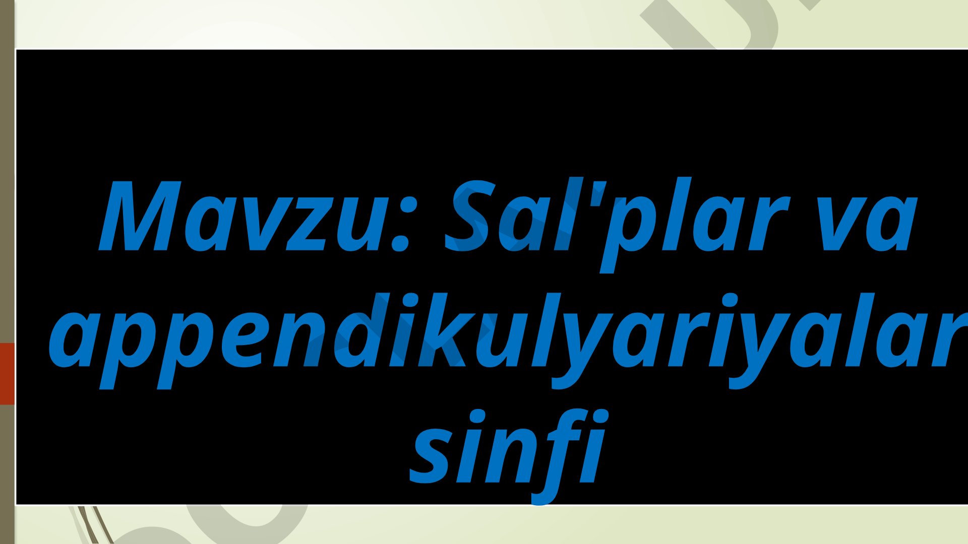 Sal'plar va appendikulyariyalar sinfi