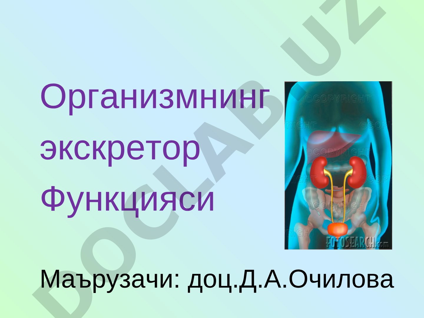 Организмнинг экскретор функцияси