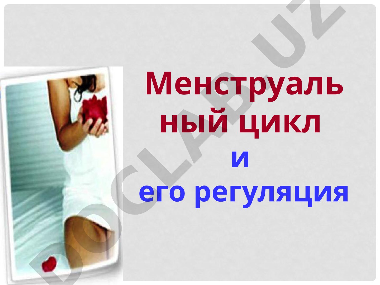 Менструальный цикл и его регуляция