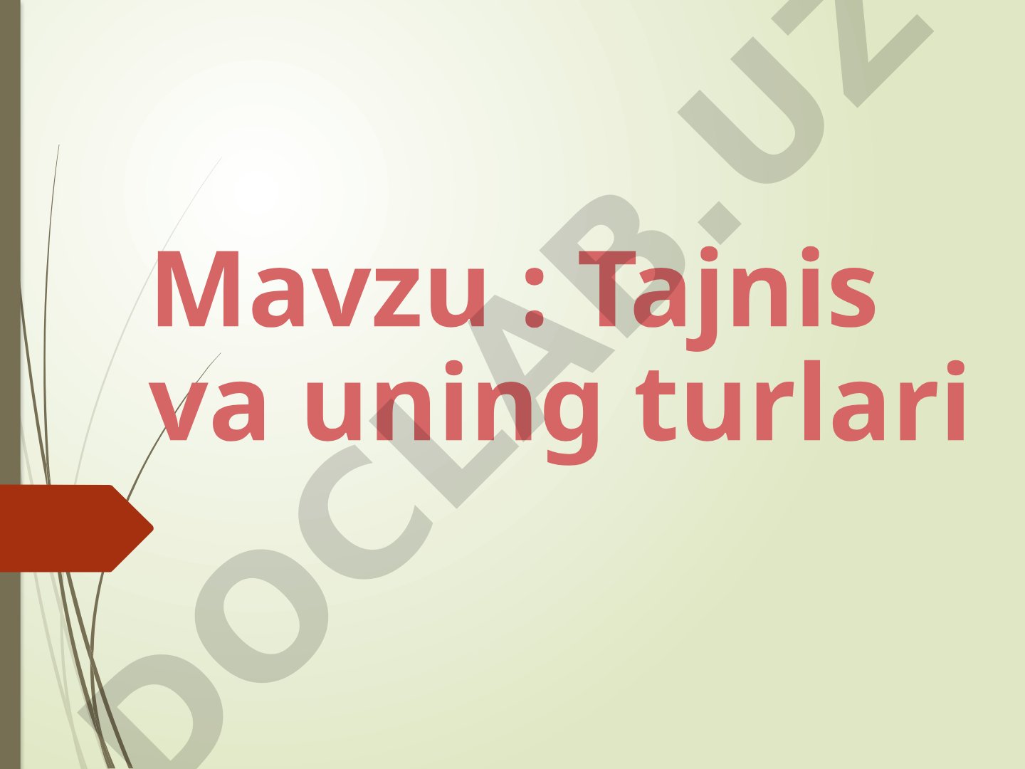 Tajnis va uning turlari