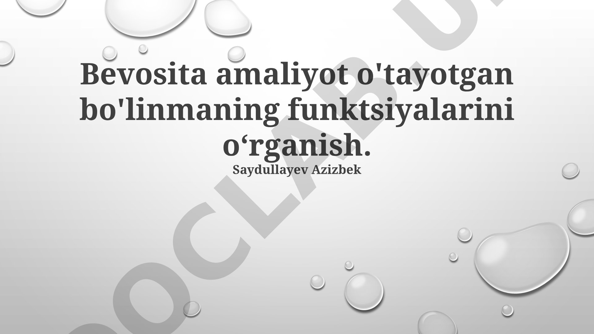 Bevosita amaliyot o'tayotgan bo'linmaning funktsiyalarini o‘rganish