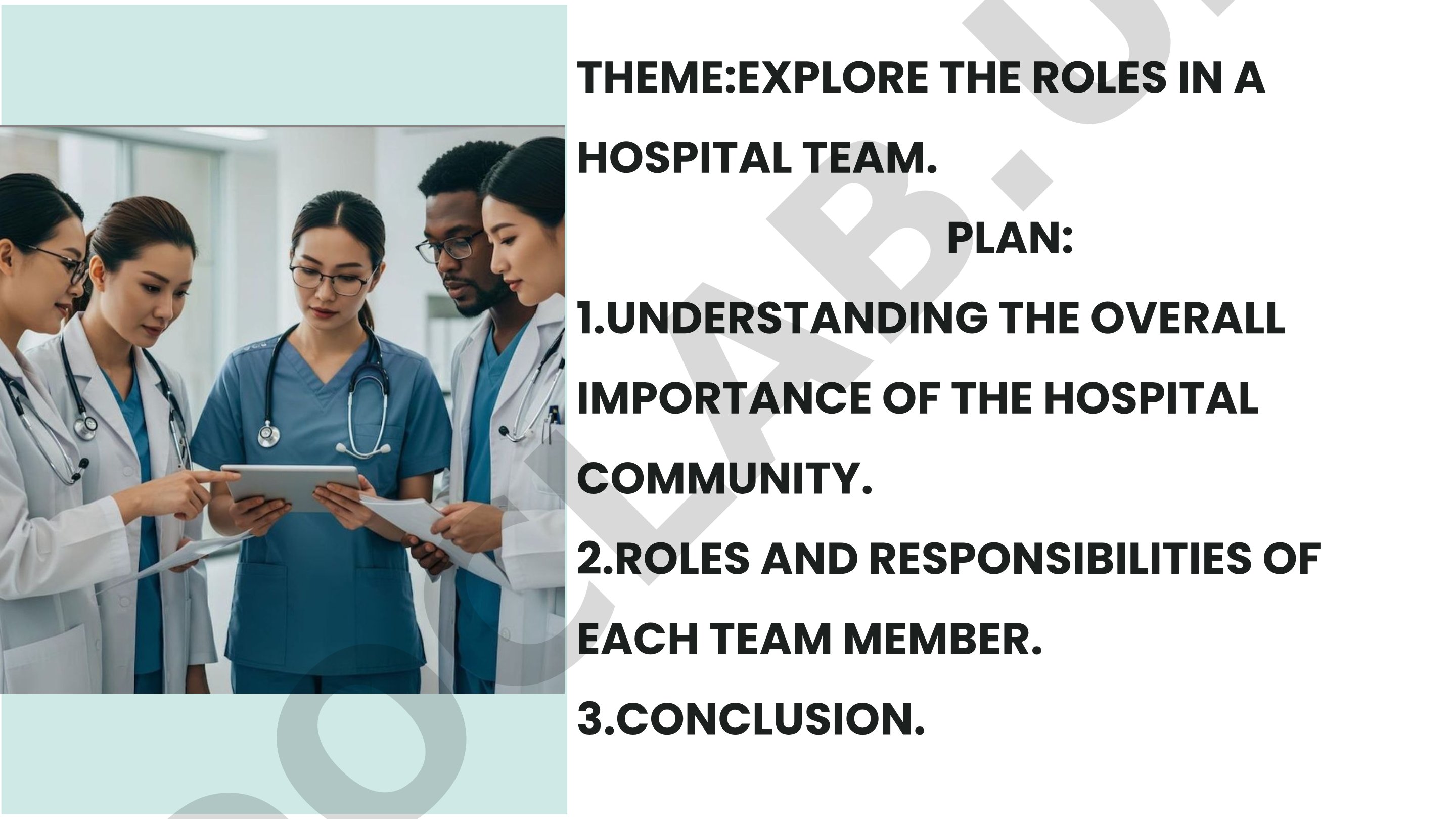 Roles in a Hospital Team