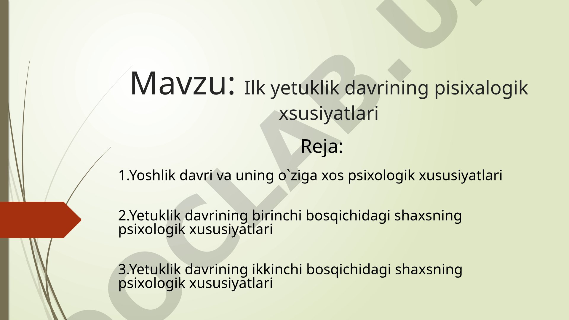 Ilk yetuklik davrining psixologik xususiyatlari