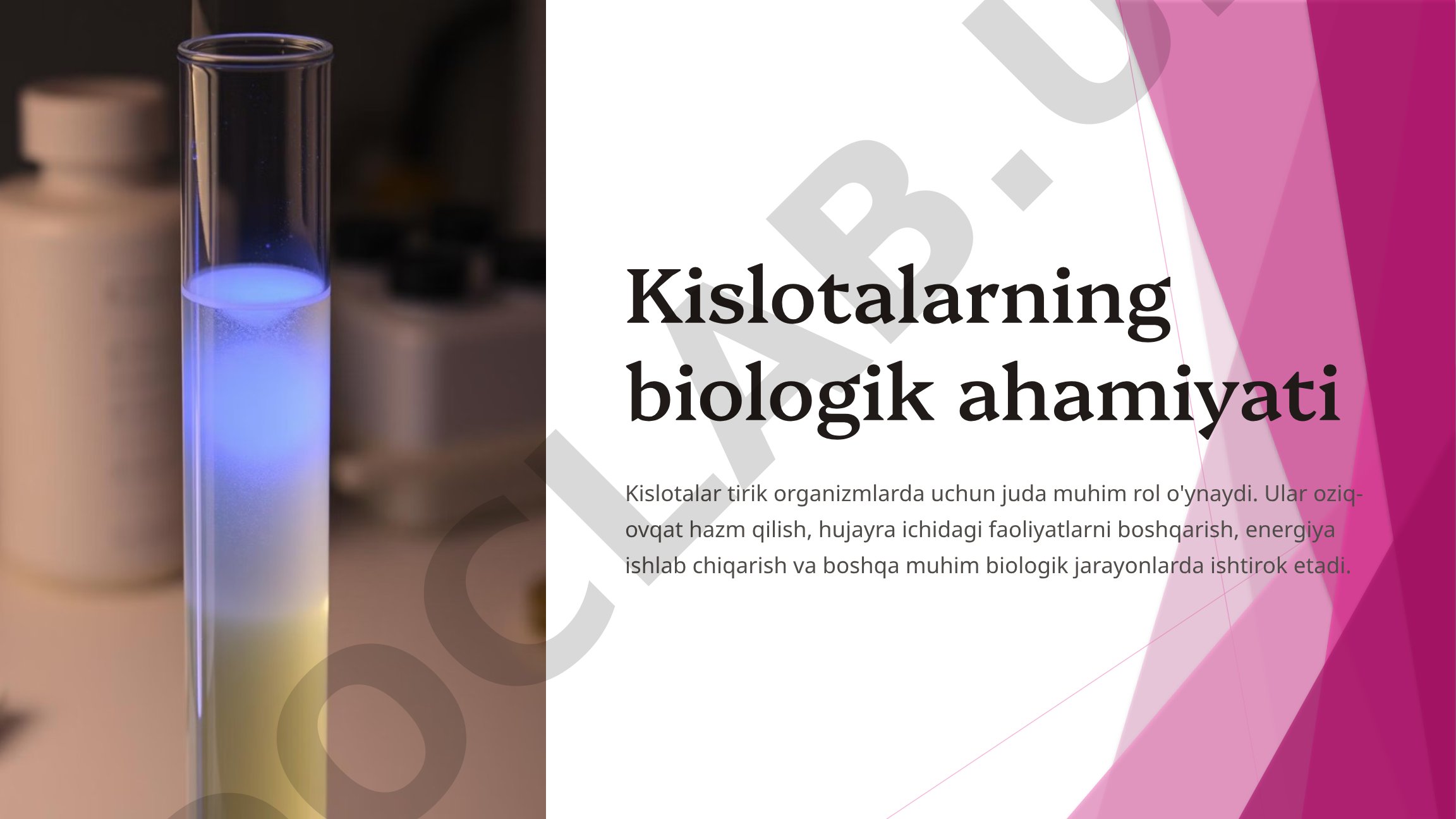 Kislotalarning biologik ahamiyati