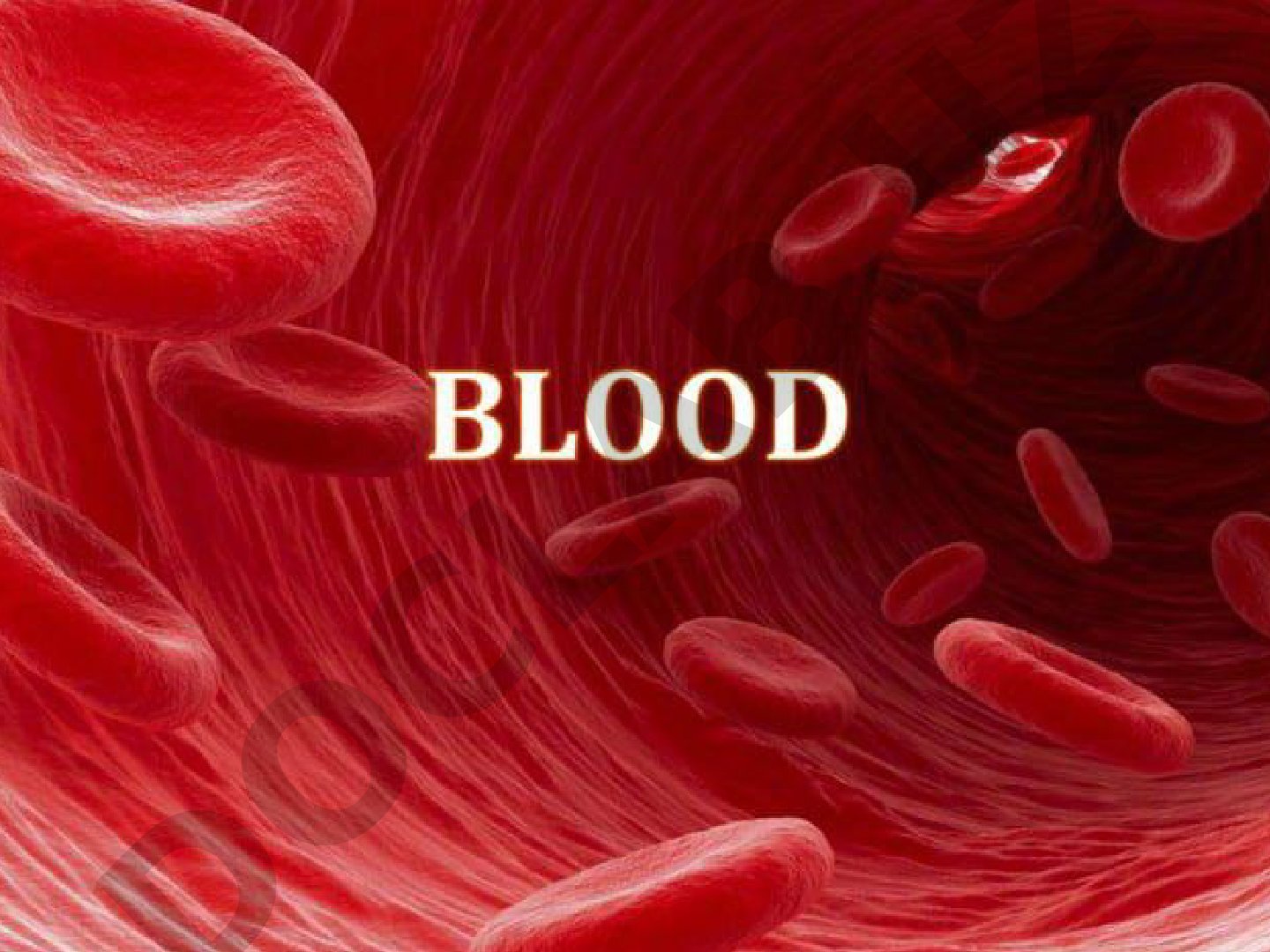 Blood: The River of Life