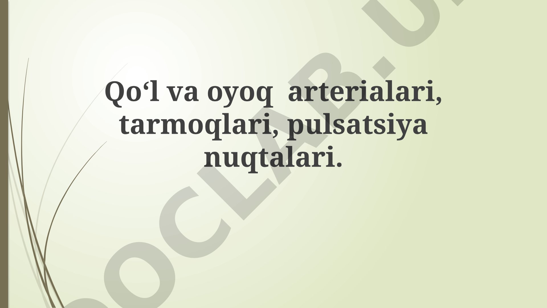 Qo'l va oyoq arterialari, tarmoqlari, pulsatsiya nuqtalari